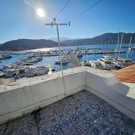 Sur Le Port Saint-Florent (Corsica)