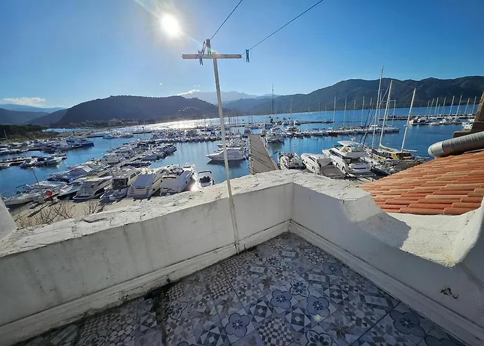 Sur Le Port Saint-Florent (Corsica)