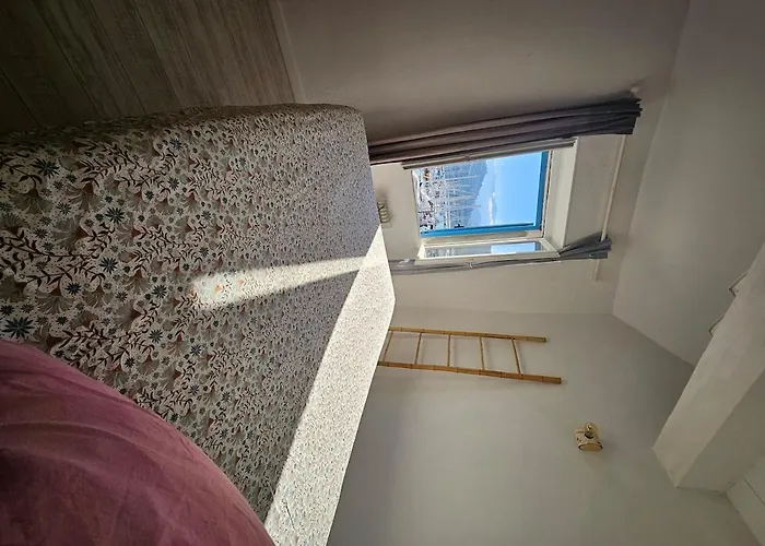 Sur Le Port Saint-Florent (Corsica)